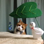 10890515_1405341929759765_1892759572_a