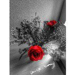 11427333_1607386919545871_221996868_a