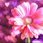 12424720_983776465014089_1163107724_a