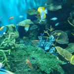 11024409_871571956243062_2008956090_a