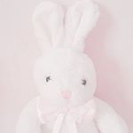 12424474_1729149150638106_18148559_a