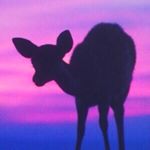 12142134_894319683956087_1780445015_a