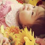 11326062_439924519529120_368362137_a