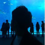 11008162_897920523594262_1863949920_a