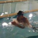 12237235_830413753693308_1747021947_a