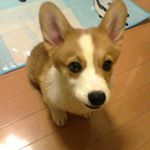 12298879_571179729702145_1816328748_a