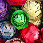 11330652_476546545843115_1531555019_a