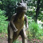 11939486_1128538013838195_397775849_a