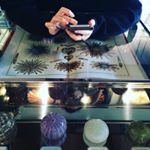 12446104_970612183018136_326888611_a