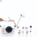 12338746_1691949694356727_950896626_a