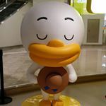 12362032_1667531193522793_2016605994_a