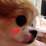 1517165_1493367630931184_1614302680_a