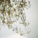 12105137_1001034363268577_1328930006_a