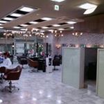 12547139_1658877254365882_435269162_a