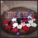 10593270_1523823137863283_2057382806_a