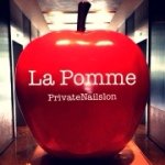 11850357_498612516981046_1639854248_a