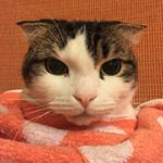 11910181_1495601687401244_725493405_a