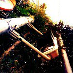 11856620_1698028787091698_1867156725_a