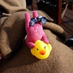 12298982_145680535797695_609407465_a