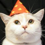 11821218_1482028168778977_1737552638_a