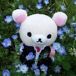 10448849_473771816090946_1116745683_a