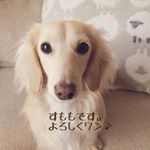 10449103_799518576861238_1683409149_a