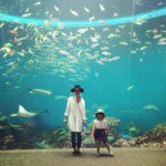 11355175_706041736171184_2086099166_a