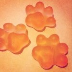 11327119_809715802474808_1421230701_a