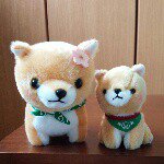 11419296_597306100408063_1296223807_a