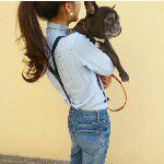 11375884_501373603346175_1555424353_a