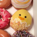 10950316_1593946100839438_1494712292_a