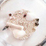 11208367_445515032298143_777257201_a