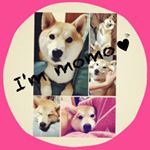 1173178_1546248942364205_1021608954_a