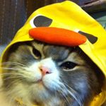 914565_1555154914774532_104333225_a