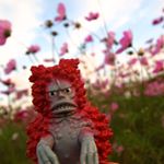 12080597_189704021364303_1970687951_a