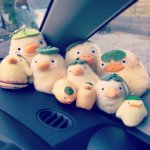 11378256_296856367104734_1240599425_a