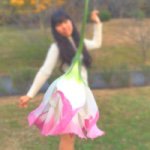 10948638_376701789169514_442691958_a