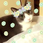 10488740_493877294131117_1350823990_a