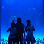 12338922_1708463229383615_225308941_a