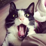 10802494_765224180191984_1488864773_a