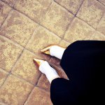 11428666_977022115675665_1736598127_a