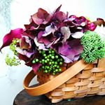 11311328_139469676392310_467388696_a