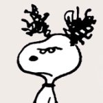 11417284_872764526112359_2144055015_a