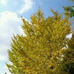 923733_558027857656445_1989641487_a