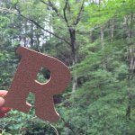 11381789_114633682210228_974515614_a