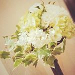 916415_1678401862435314_5973613_a