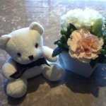 11248909_1405486886445144_2138070426_a