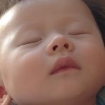 11850113_1462134540780159_930346517_a