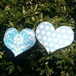 11373713_123407028001039_610860390_a