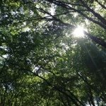 927969_1417656795181357_923786484_a